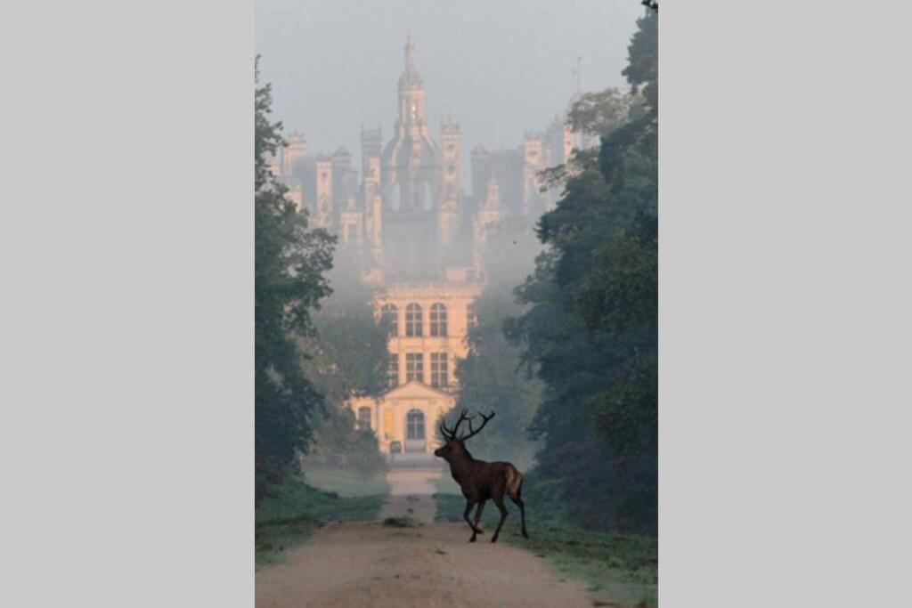 Les Bruyeres De Jeanne Et Rene Zoo De Beauval A 20Min,Chateaux Tout Inclus Fontguenand Luaran gambar