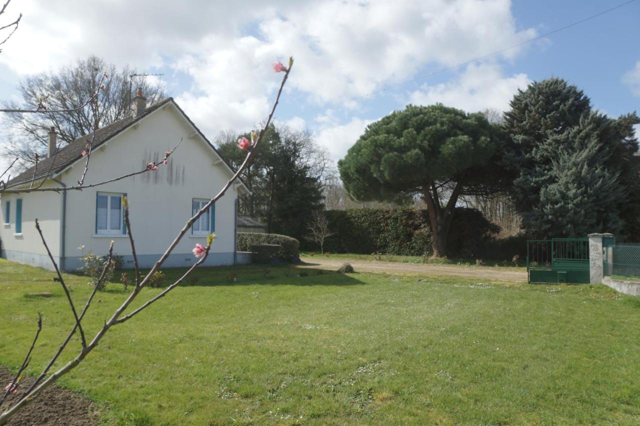 Les Bruyeres De Jeanne Et Rene Zoo De Beauval A 20Min,Chateaux Tout Inclus Fontguenand Luaran gambar