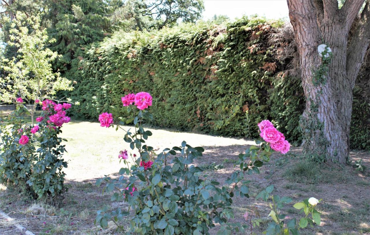 Les Bruyeres De Jeanne Et Rene Zoo De Beauval A 20Min,Chateaux Tout Inclus Fontguenand Luaran gambar